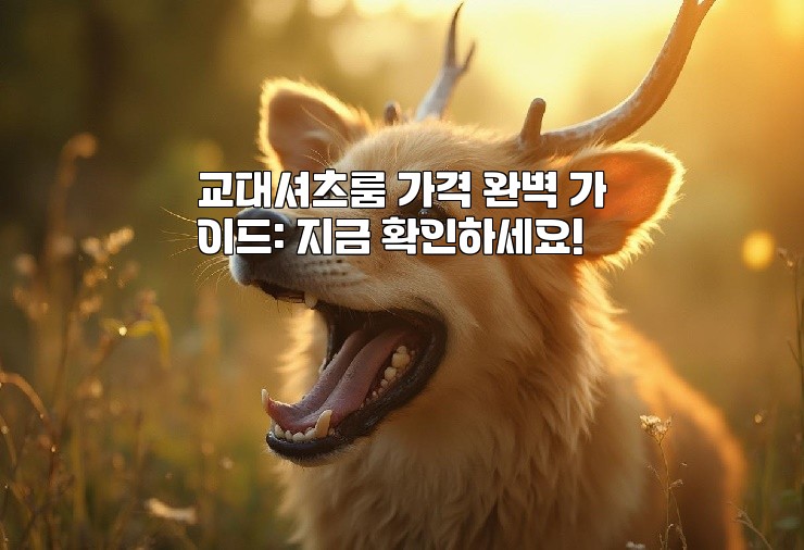 교대셔츠룸 가격 완벽 가이드: 지금 확인하세요!