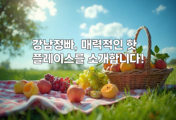 강남정빠, 매력적인 핫플레이스를 소개합니다!