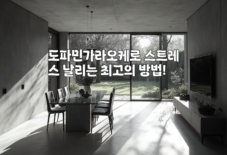 도파민가라오케로 스트레스 날리는 최고의 방법!